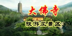 拔插拔插518海外华人永久免费视频中国浙江-新昌大佛寺旅游风景区